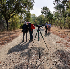 birders in a park with a telescope in the middle